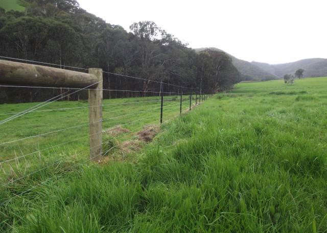 plain-wire-black-star-posts