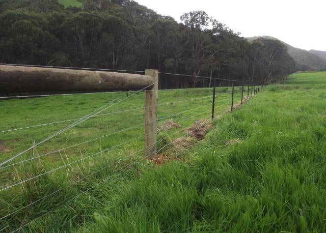 treated-pine-end-posts-and-star-post-fencing