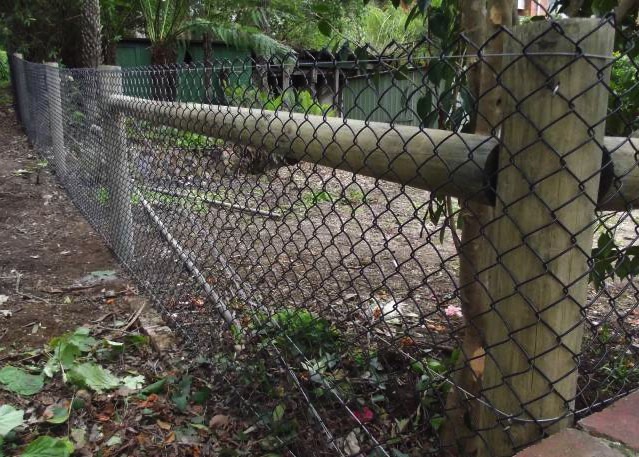 treated-pine-posts-and-mesh-fencing