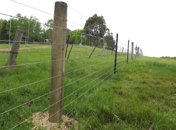 treated-pine-posts-and-star-pickets